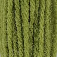Appleton Tapestry Hank - 543 Early English Green Medium Light
