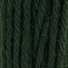 Appleton Crewel Hank - 407 Sea Green Very Dark