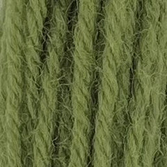 Appleton Tapestry Hank - 354 Grey Green