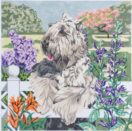 Barbara Russell Designs Bouvier des Flandres Dog Needlepoint Canvas