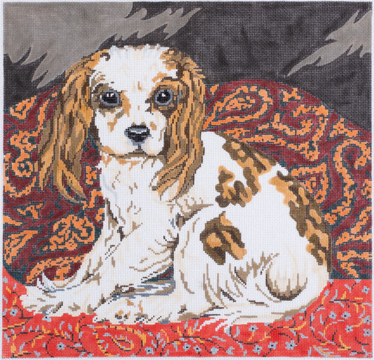 Barbara Russell Designs King Charles Dog on Paisley Needlepoint Canvas