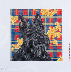Barbara Russell Designs Scottie Dog with Plaid Background Needlepoint Canvas