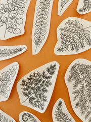 M Creative J Ferns Peel Stick and Stitch Botanical Embroidery Patterns