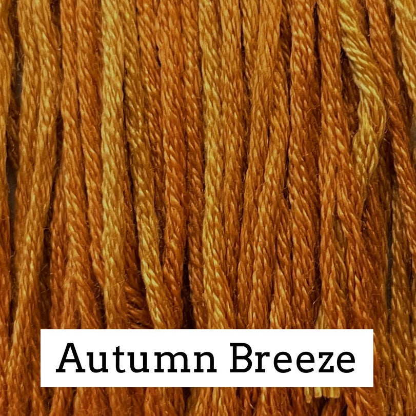 Close-up of warm copper‑orange silk embroidery floss with subtle golden variegation, labeled “Autumn Breeze.”