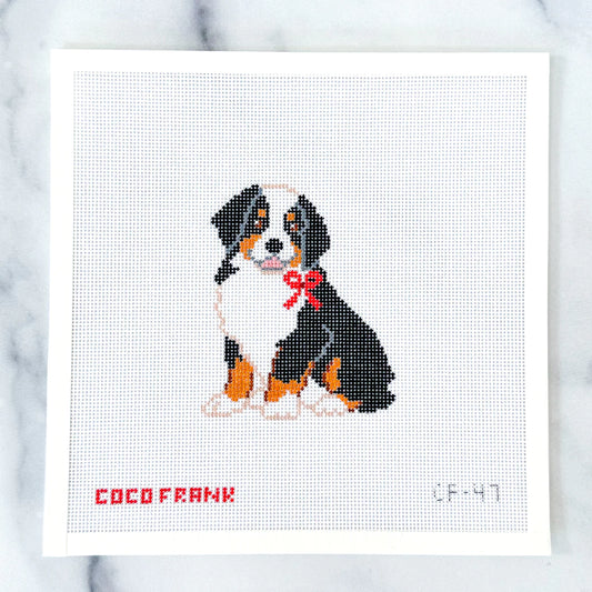 Coco Frank Burmese Mountain Dog Needlepoint Canvas