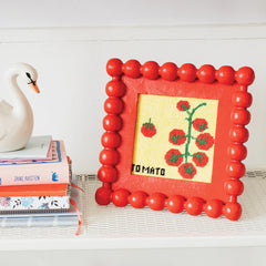 Cotton Clara Craft Kits & Supplies - Tomato Needlepoint Kit - Beginner Craft Kit