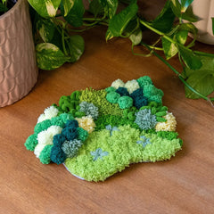 Craft Club Green Oasis Moss Coaster Kit