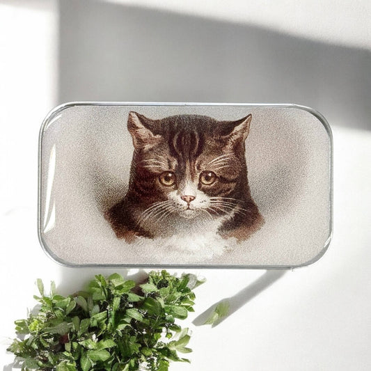 Firefly Notes Sweet Cat Face Notions Tin Needle Case
