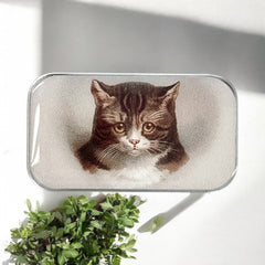 Firefly Notes Sweet Cat Face Notions Tin Needle Case