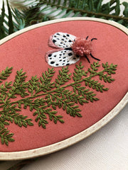 M Creative J Moth and Fern Embroidery Kit