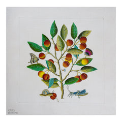 Melissa Shirley Designs Cherries Needlepoint Canvas