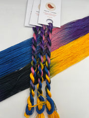 Pirate + Robin Variegated 6 Strand Embroidery Floss - Coraline