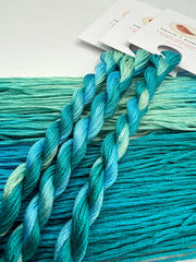 Pirate + Robin Variegated 6 Strand Embroidery Floss - Lagoon