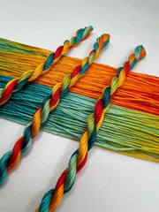 Pirate + Robin Variegated 6 Strand Embroidery Floss - Summer Pride