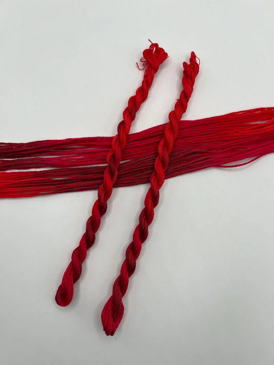 Pirate + Robin Variegated 6 Strand Embroidery Floss - Watermelon
