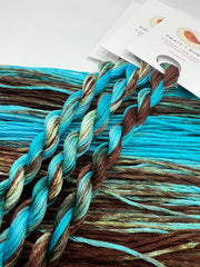 Pirate + Robin Variegated 6 Strand Embroidery Floss - Woodland Breeze