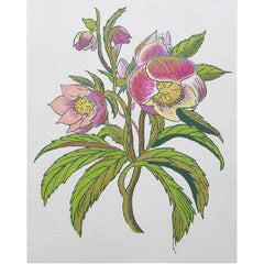 Zecca Wesley Allsbrook Hellbore Needlepoint Canvas