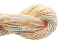 Caron Collection Impressions Variegated - 172 Almond