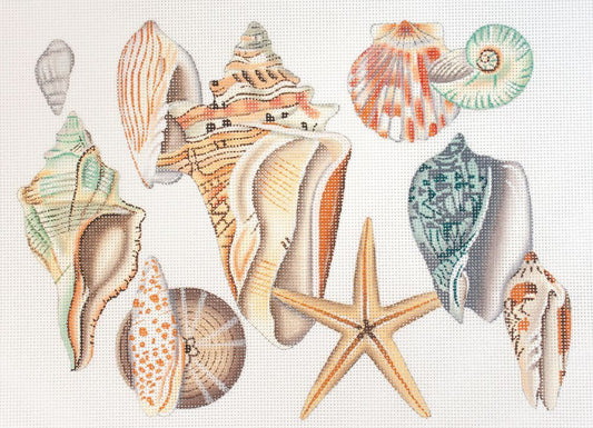 Melissa Shirley Designs Sea Shells MS Needlepoint Canvas