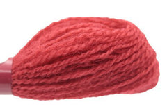 Appleton Hank