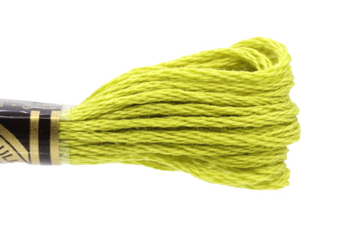 DMC Embroidery Floss - 0166 Wormwood Green