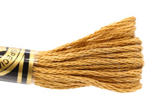 DMC Embroidery Floss - 0167 Praline