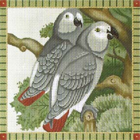 Melissa Shirley Designs African Grey Parrots Needlepoint Canvas