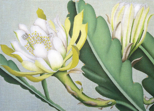 Melissa Shirley Designs Cactus Needlepoint Canvas