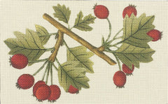 Melissa Shirley Designs Berry Leaves Needlepoint Canvas