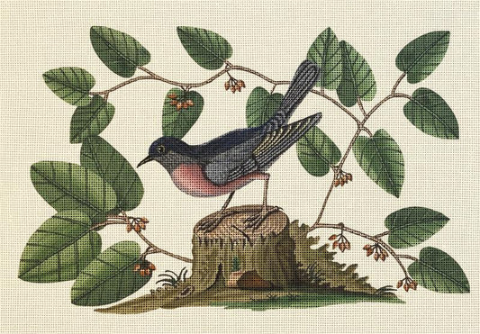 Melissa Shirley Designs Bird Vine Needlepoint Canvas