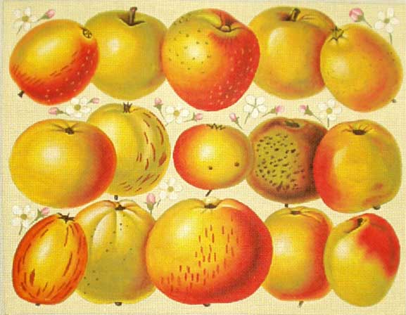 Melissa Shirley Designs Apples 13m MS Needlepoint Canvas