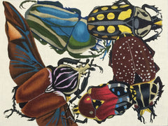 Melissa Shirley Designs Burgundy Insects 18m MS Needlepoint Canvas