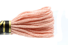 DMC Embroidery Floss - 0224 Earthworm