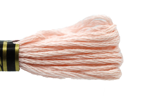 DMC Embroidery Floss - 0225 Cherry Blossom