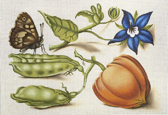 Melissa Shirley Designs Chinese Lantern & Peas Needlepoint Canvas
