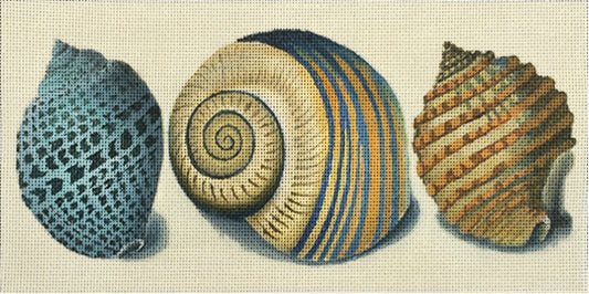 Melissa Shirley Designs 3 Shells - Blue Spots MS Needlepoint Canvas