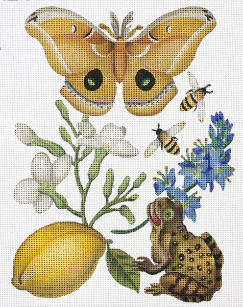 Melissa Shirley Designs Butterfly Botan W/Frog Needlepoint Canvas