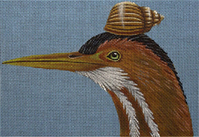 Melissa Shirley Designs Bittern With Snail MS Needlepoint Canvas