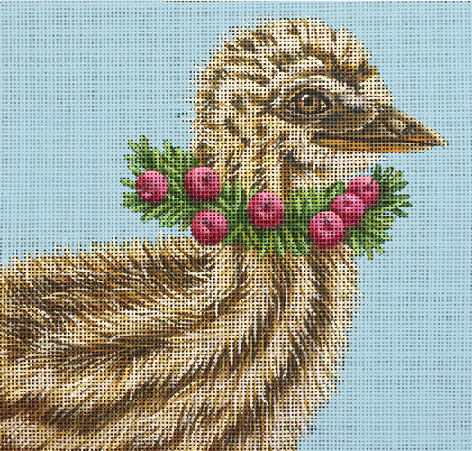 Melissa Shirley Designs Baby Emu - Grant MS Needlepoint Canvas