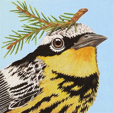 Melissa Shirley Designs Cooper Magnolia Warbler Needlepoint Canvas