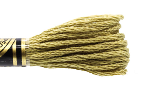 DMC Embroidery Floss - 0371 Steppe