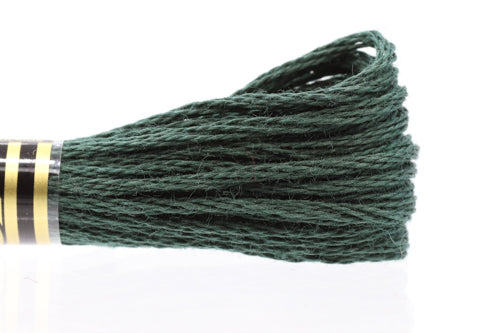 DMC Embroidery Floss - 0500 Ivy