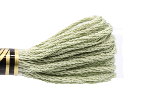 DMC Embroidery Floss - 0523 Green Ash