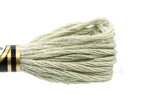 DMC Embroidery Floss - 0524 Pebble Green