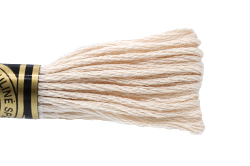 DMC Embroidery Floss - 0543 Shell