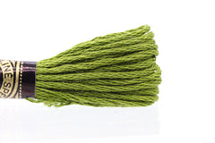 DMC Embroidery Floss - 0580 Cactus