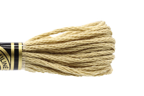 DMC Embroidery Floss - 0612 Jute