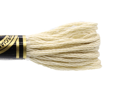 DMC Embroidery Floss - 0613 Twine