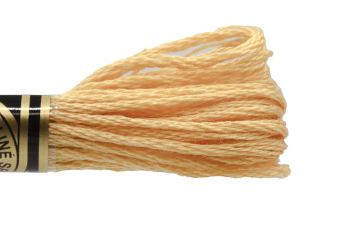 DMC Embroidery Floss - 0676 Savannah