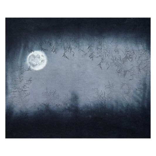 14 ct Hand Painted Aida Cross Stitch Fabric by Fiberlicious - Haunted Night
